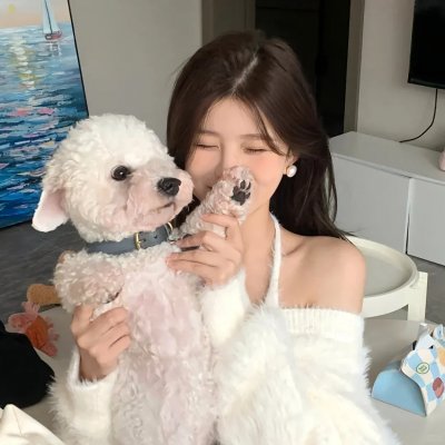 我的朋友是萌鲨